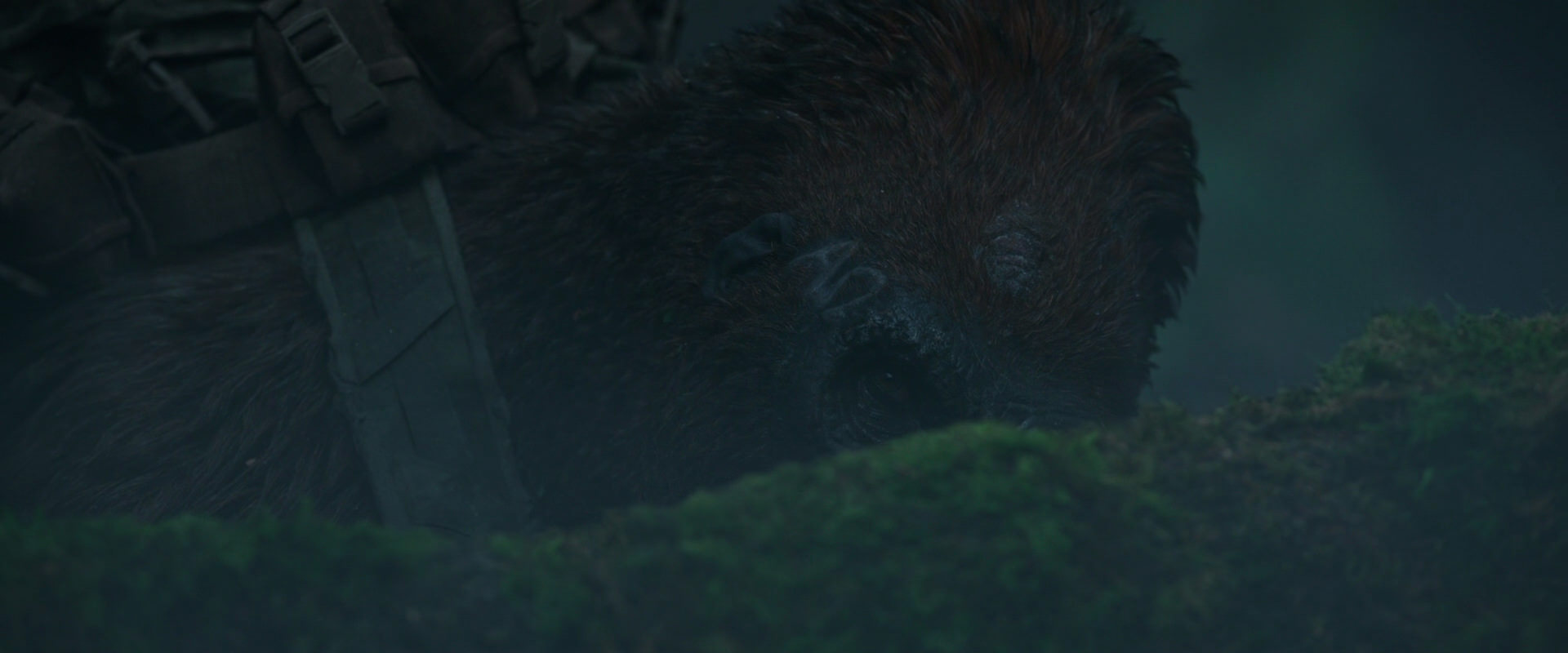 War for the Planet of the Apes (2017) movie still 538
