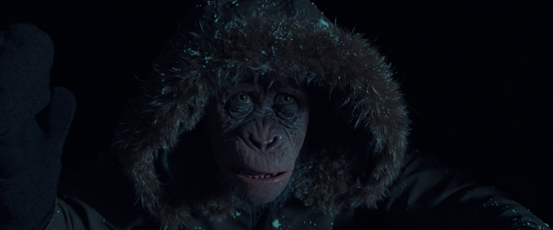 War for the Planet of the Apes (2017) screencap 5382