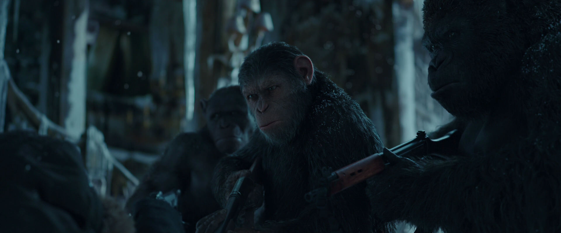 War for the Planet of the Apes (2017) movie still 5383