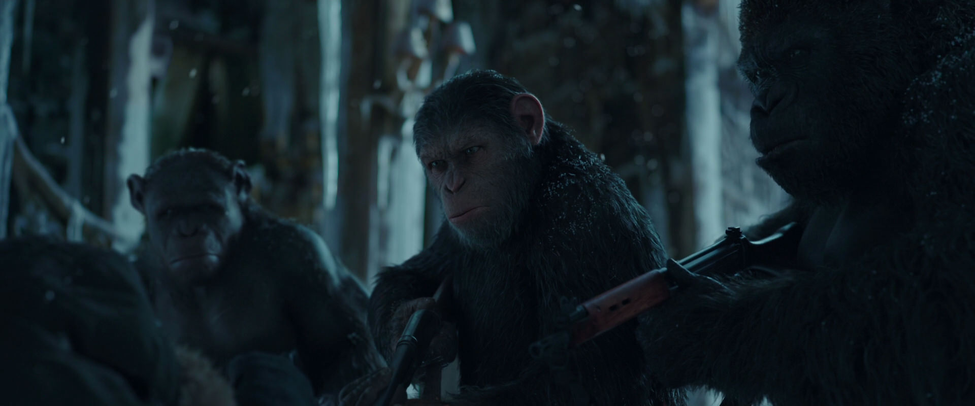 War for the Planet of the Apes (2017) screencap 5385