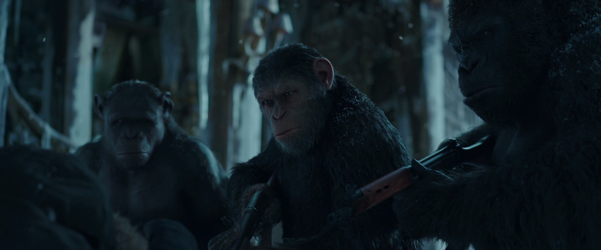 War for the Planet of the Apes (2017) movie still 5386