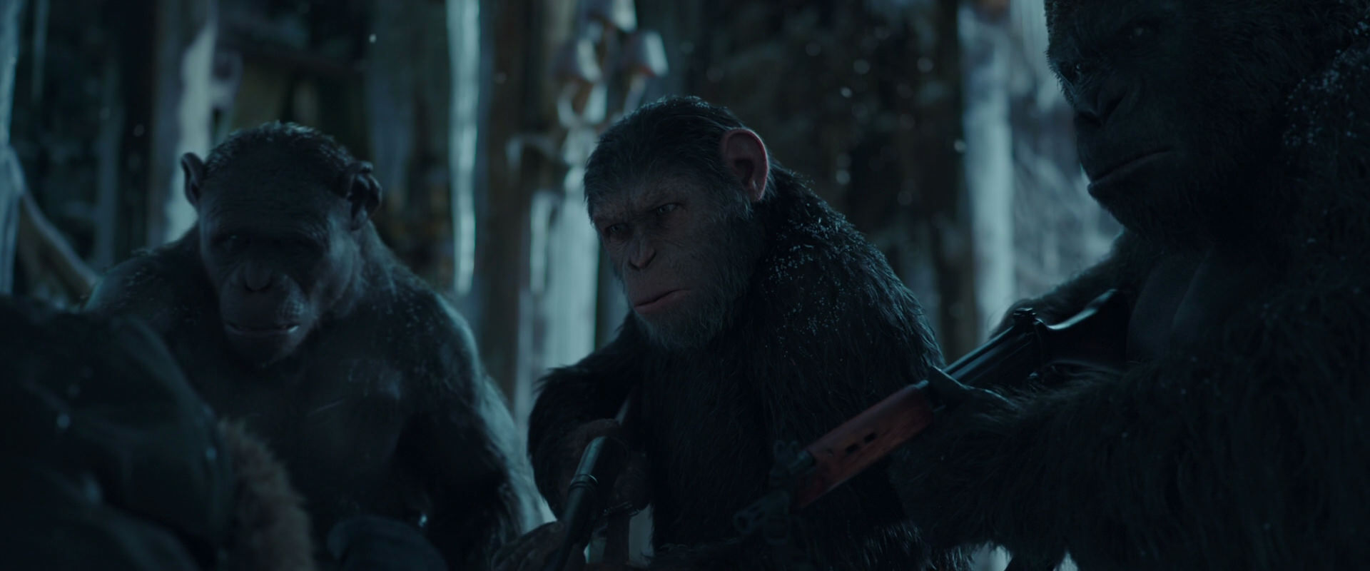 War for the Planet of the Apes (2017) movie still 5389