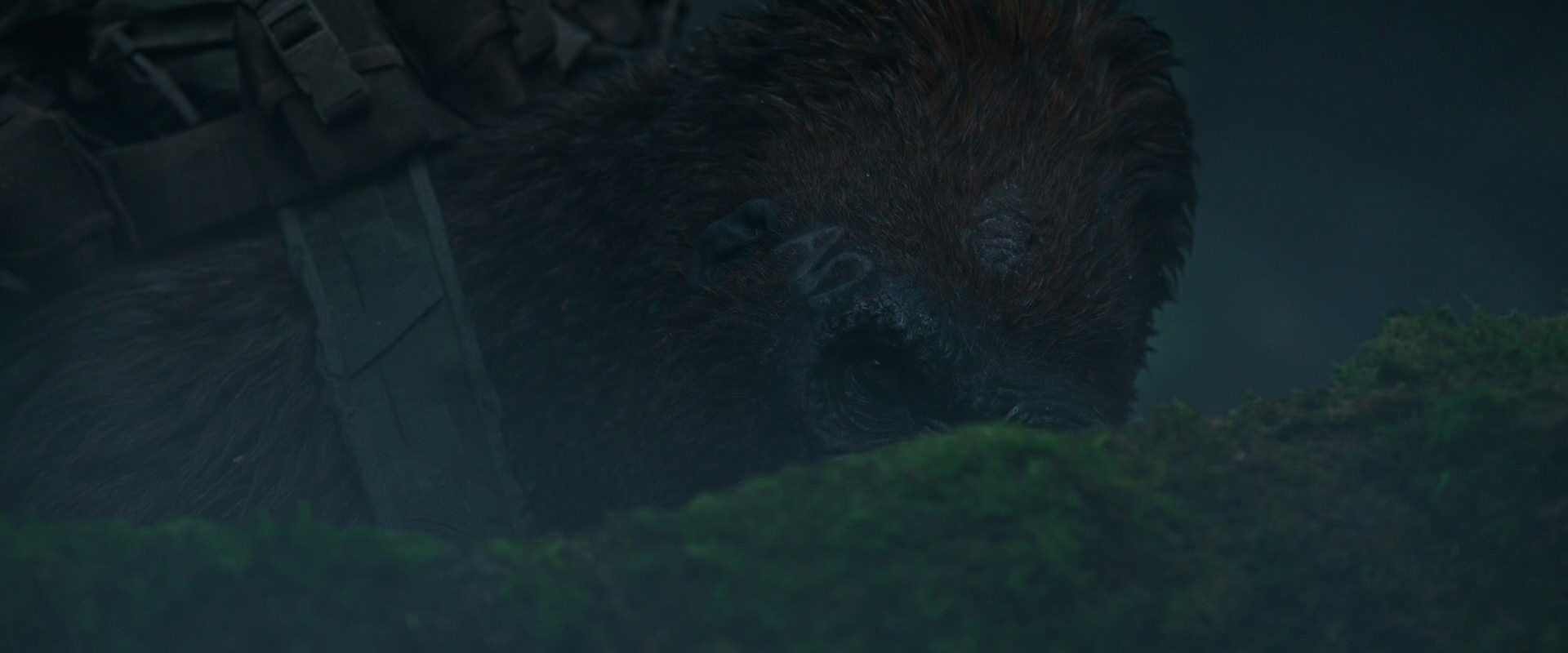 War for the Planet of the Apes (2017) HD screenshot 539