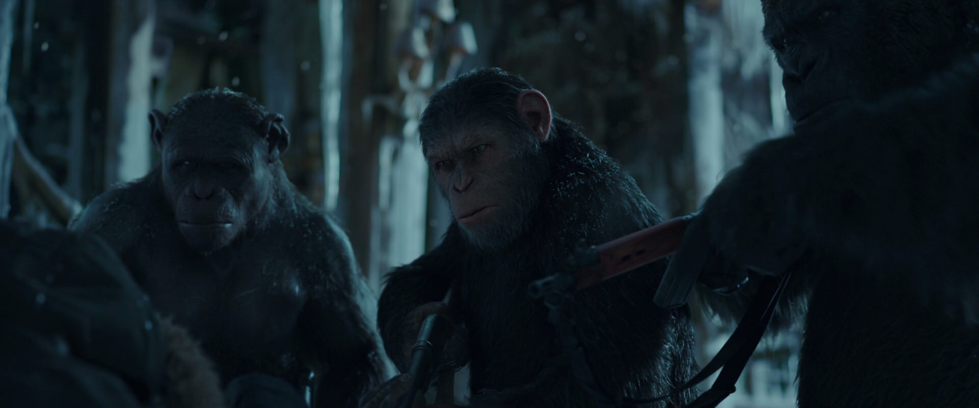 War for the Planet of the Apes (2017) movie still 5392
