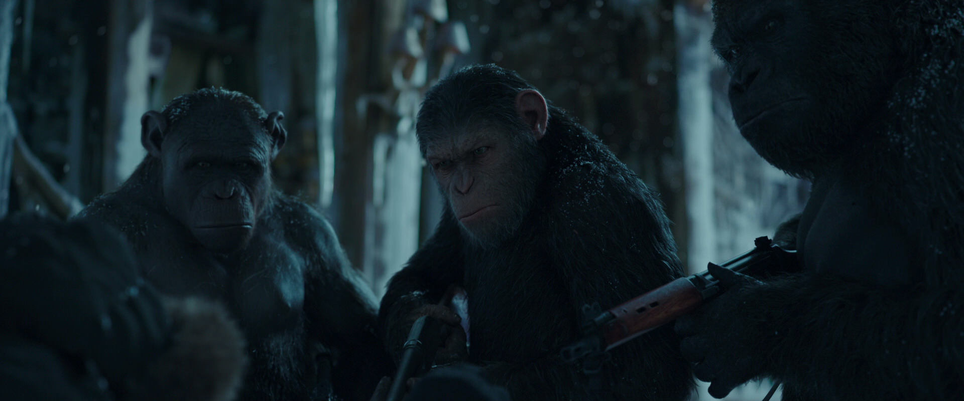 War for the Planet of the Apes (2017) movie still 5398