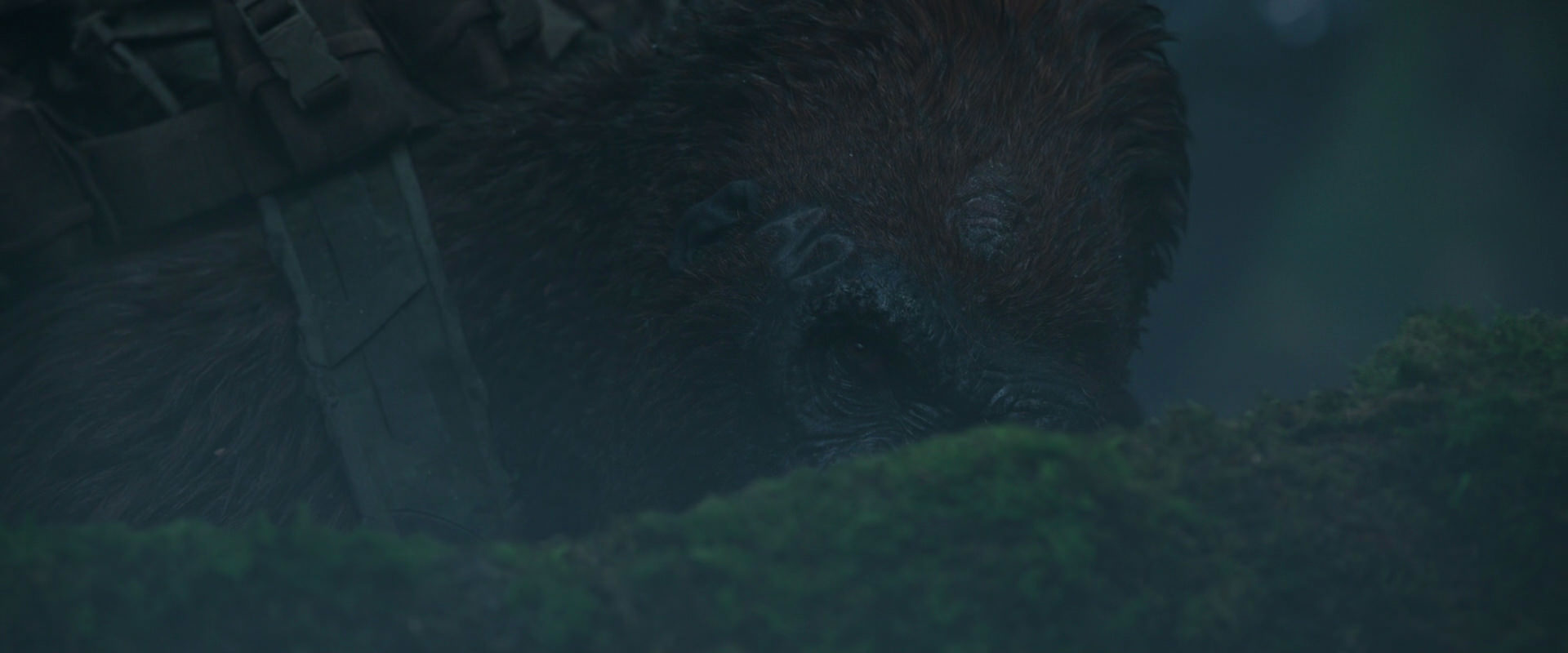 War for the Planet of the Apes (2017) screencap 540