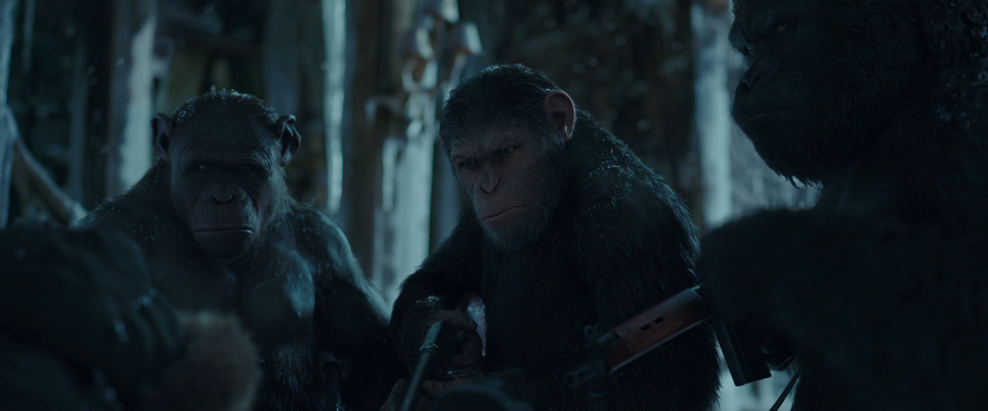 War for the Planet of the Apes (2017) screencap 5400