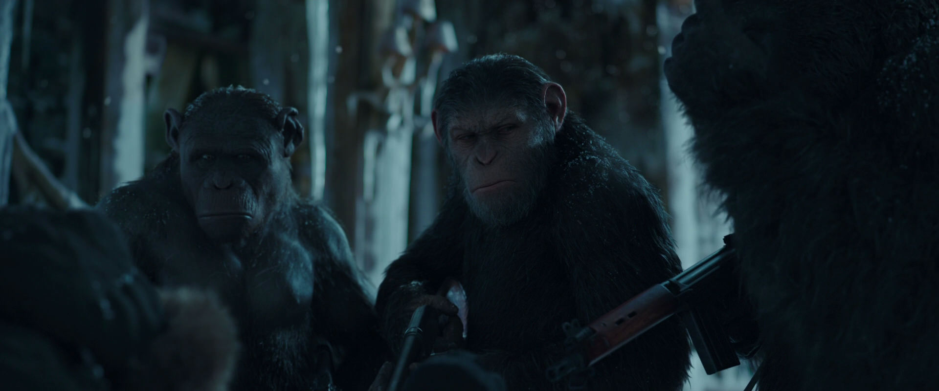 War for the Planet of the Apes (2017) screencap 5403