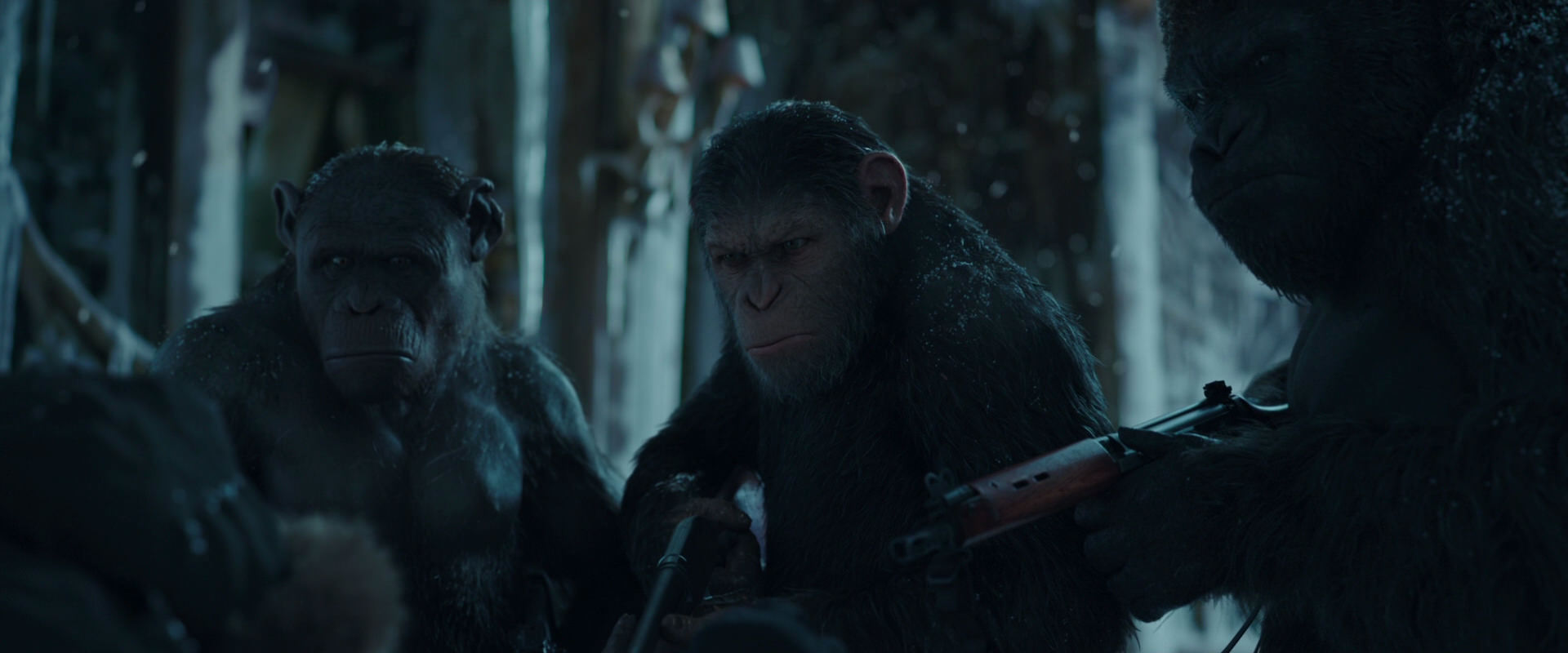 War for the Planet of the Apes (2017) screencap 5406