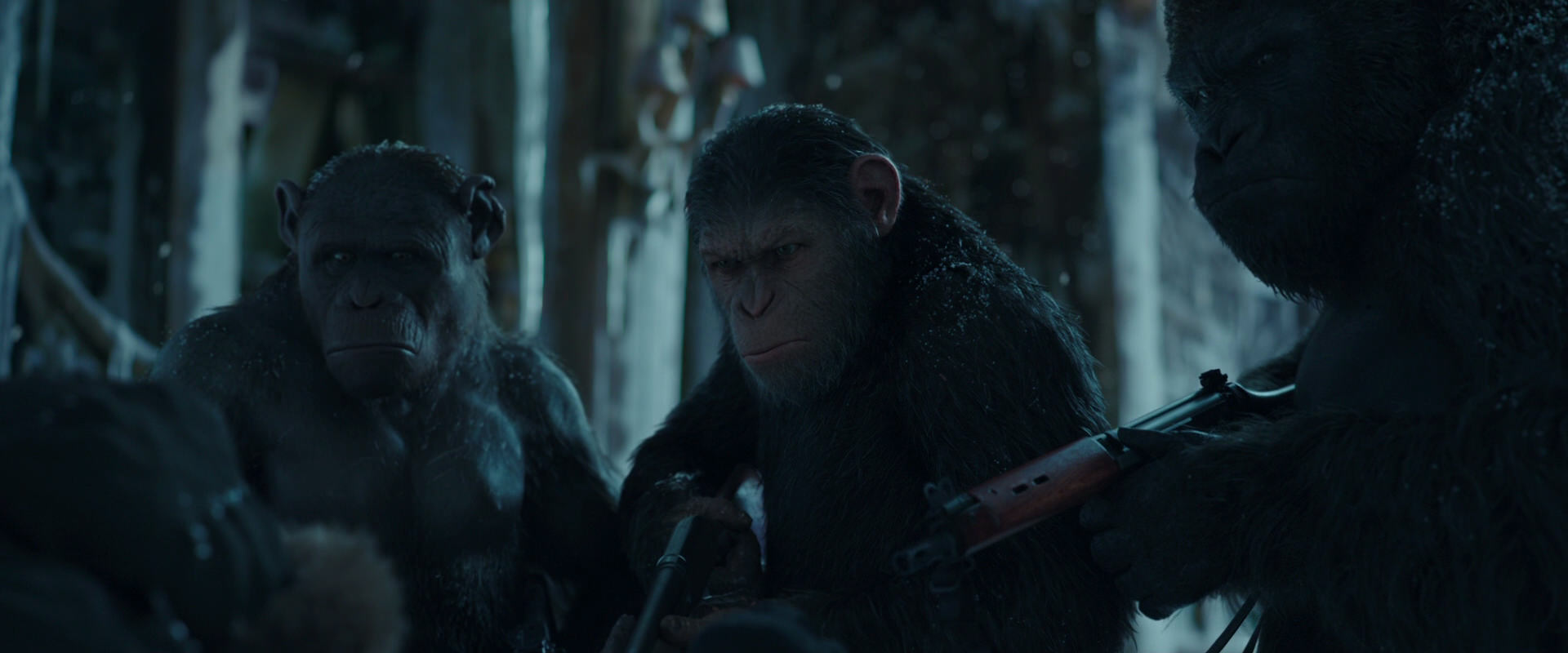 War for the Planet of the Apes (2017) movie still 5407