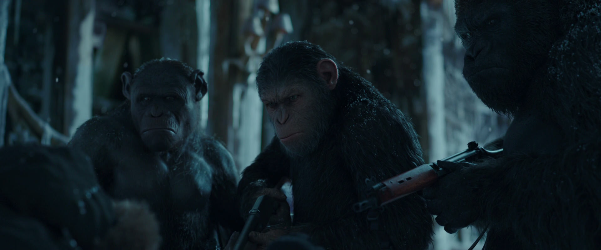 War for the Planet of the Apes (2017) screencap 5409