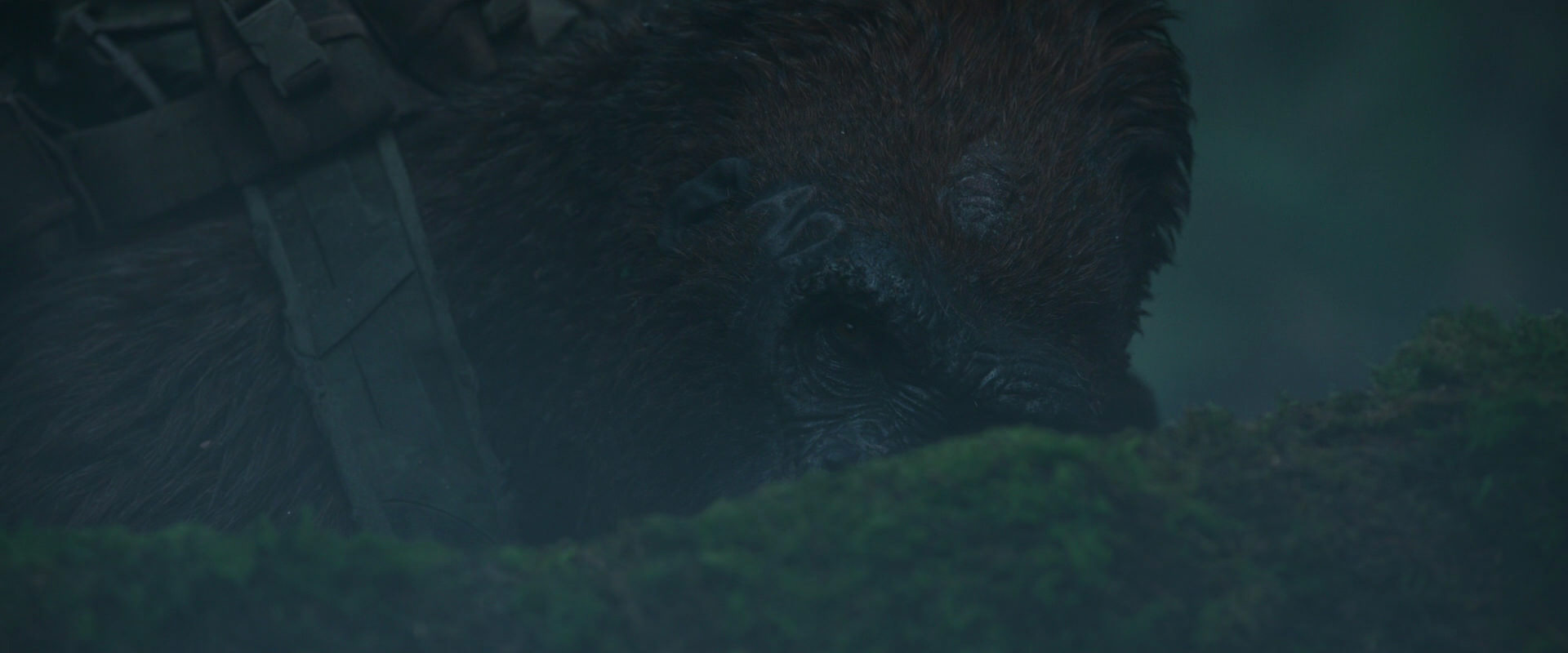 War for the Planet of the Apes (2017) movie still 541