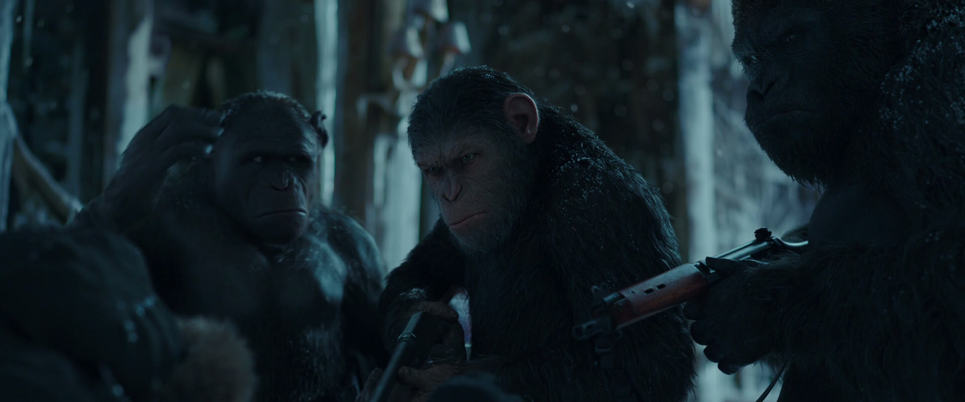 War for the Planet of the Apes (2017) movie still 5410