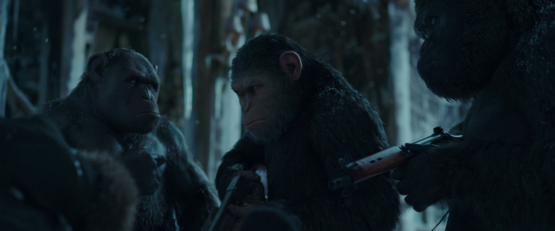 War for the Planet of the Apes (2017) screencap 5415