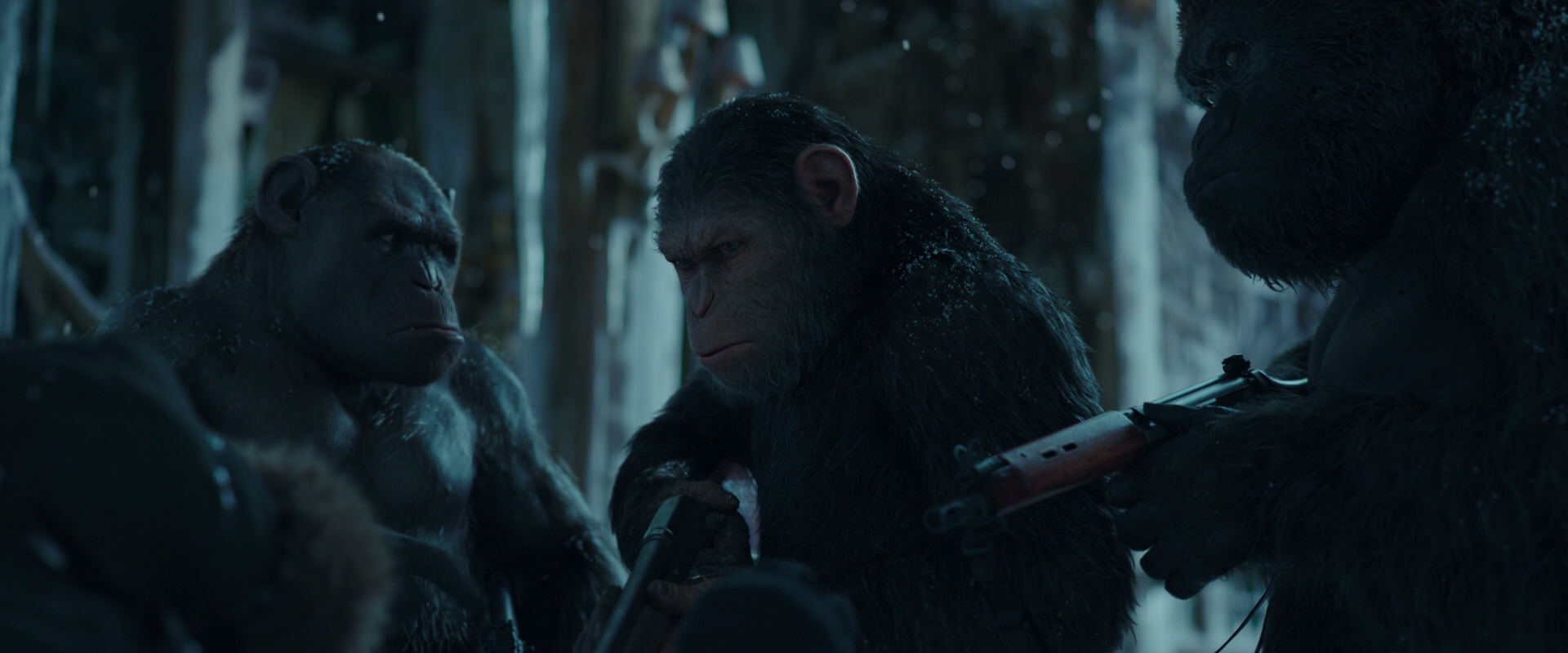 War for the Planet of the Apes (2017) movie still 5416