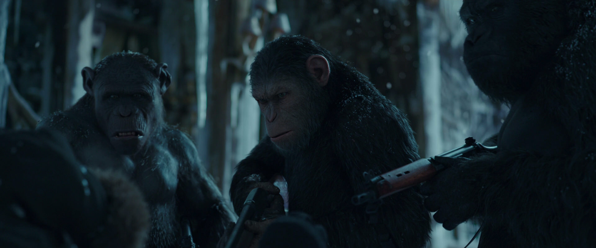 War for the Planet of the Apes (2017) screencap 5418