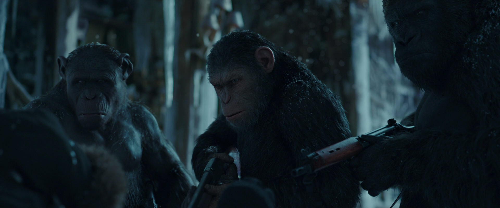 War for the Planet of the Apes (2017) movie still 5419