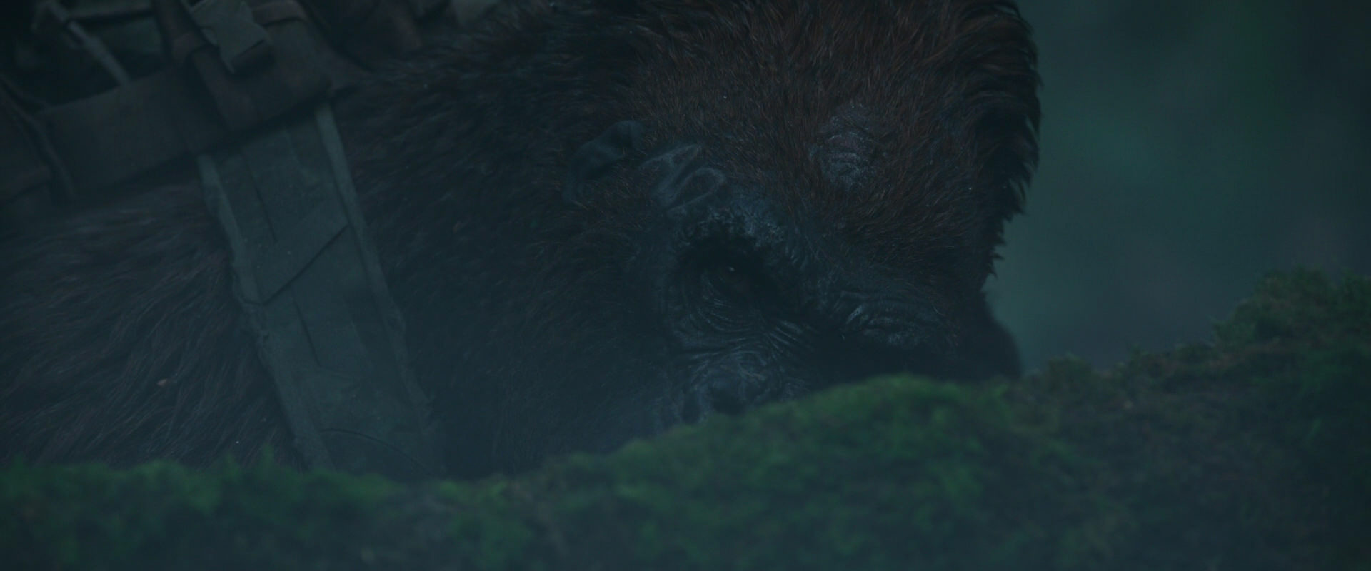 War for the Planet of the Apes (2017) HD screenshot 542