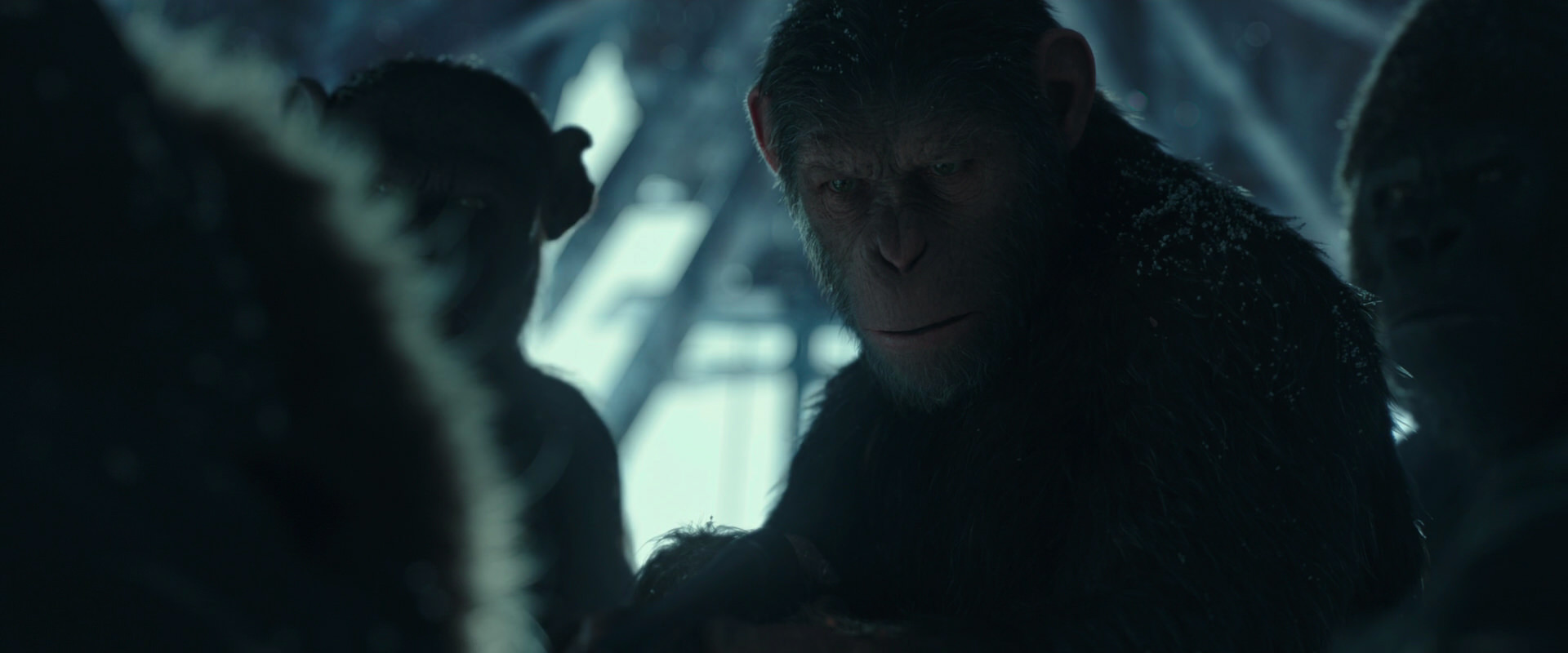 War for the Planet of the Apes (2017) HD screenshot 5420