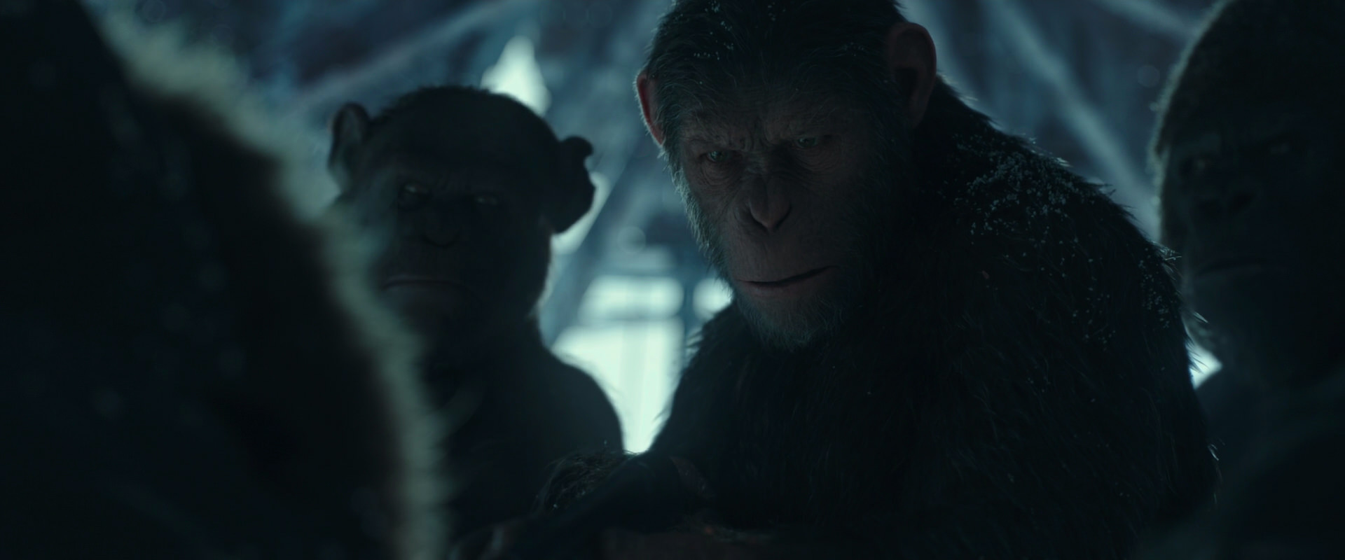 War for the Planet of the Apes (2017) screencap 5421