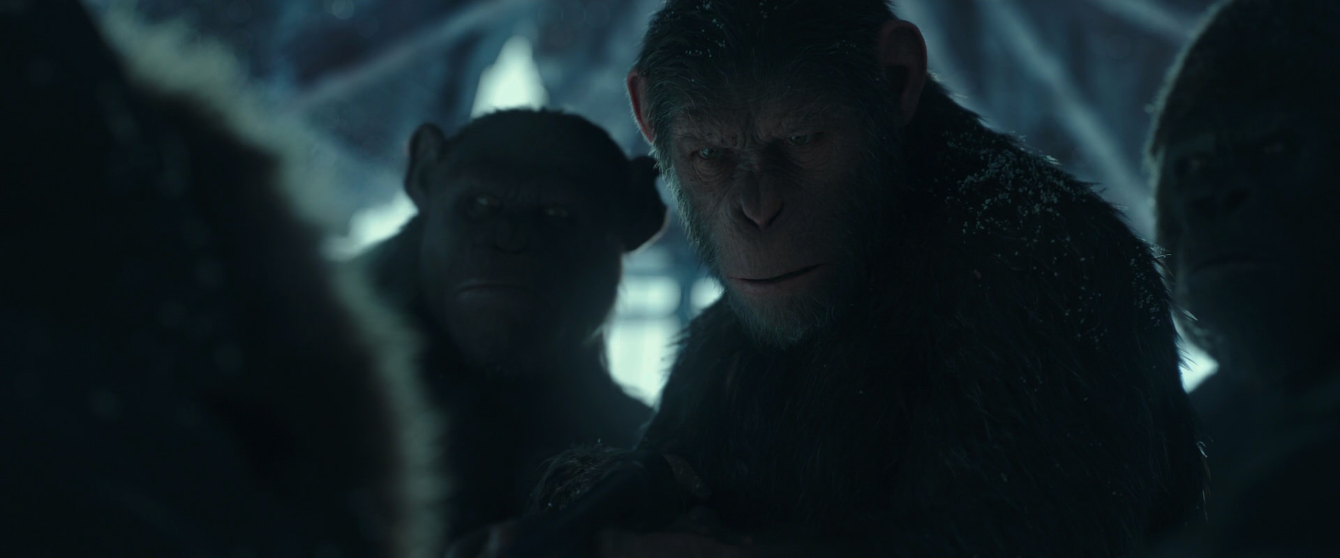 War for the Planet of the Apes (2017) movie still 5422