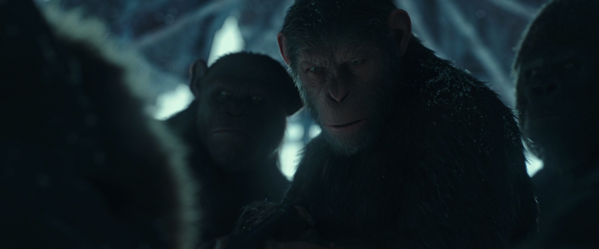 War for the Planet of the Apes (2017) HD screenshot 5423