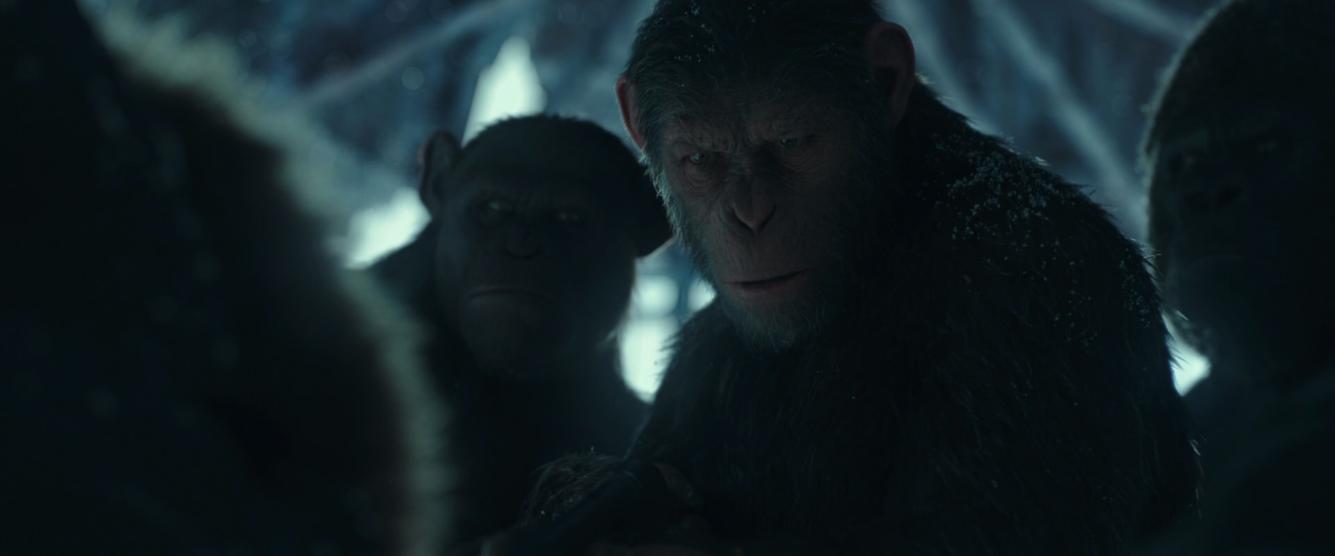 War for the Planet of the Apes (2017) screencap 5424