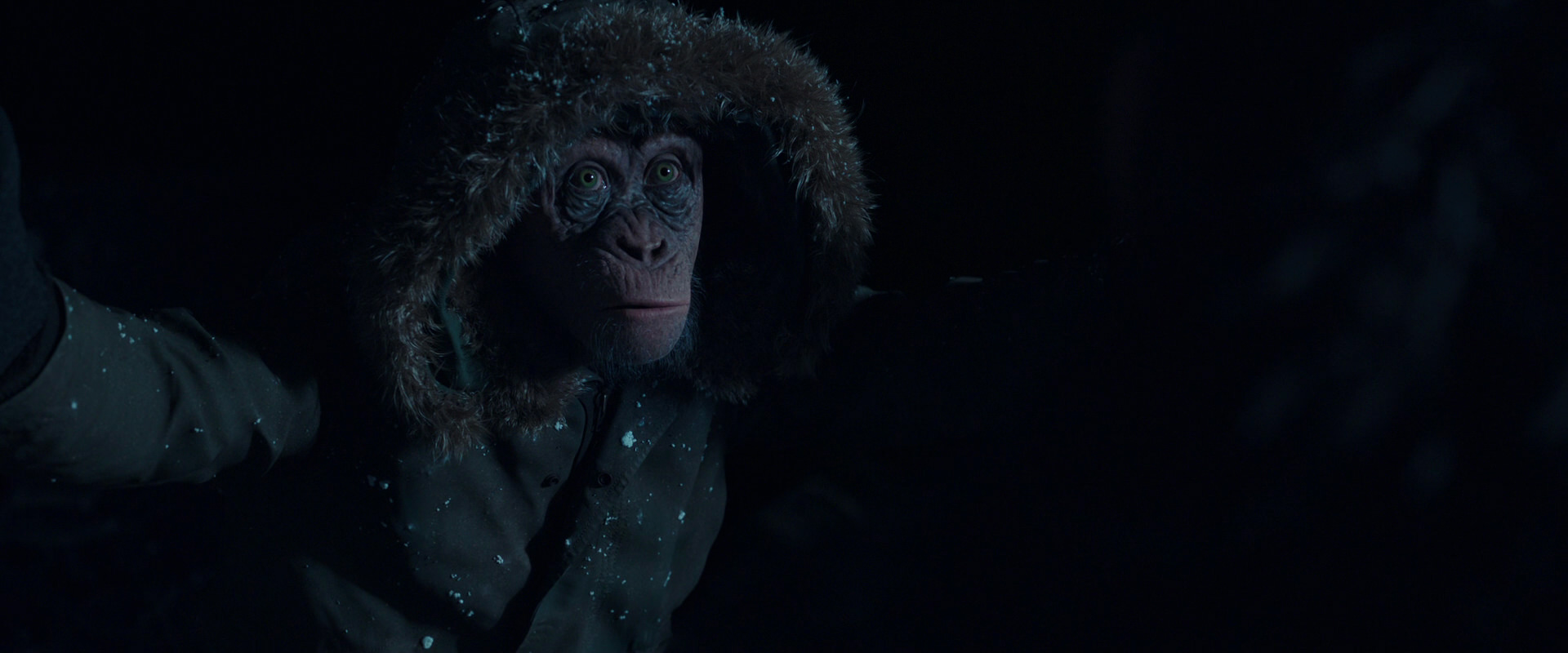 War for the Planet of the Apes (2017) movie still 5425