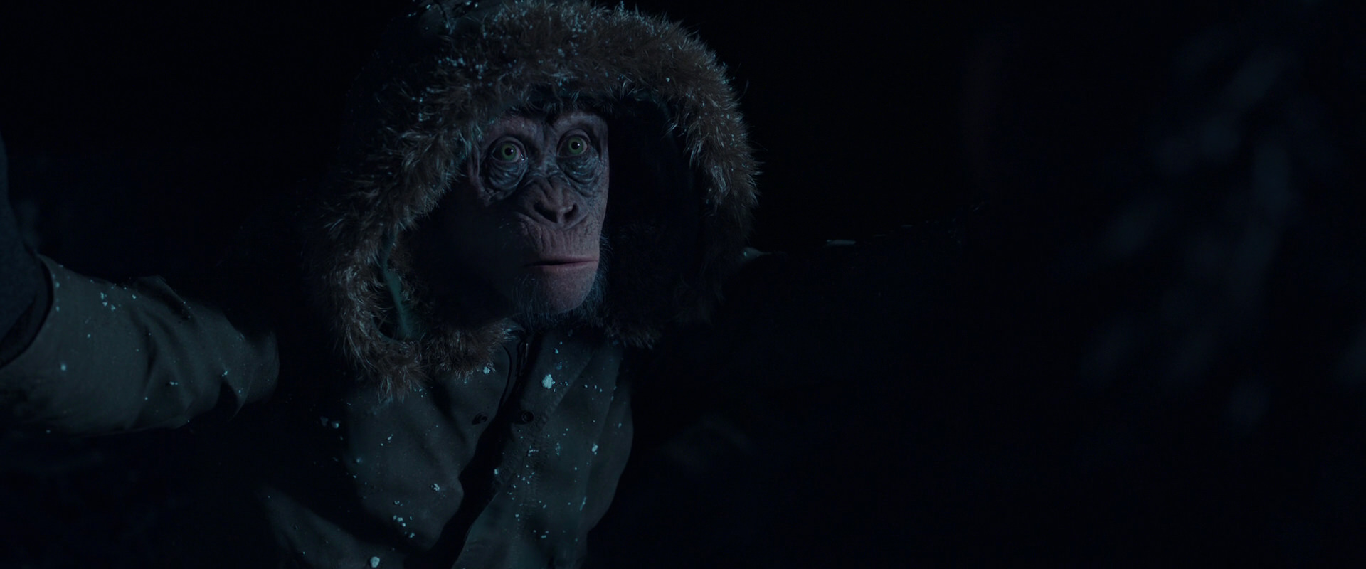War for the Planet of the Apes (2017) screencap 5427
