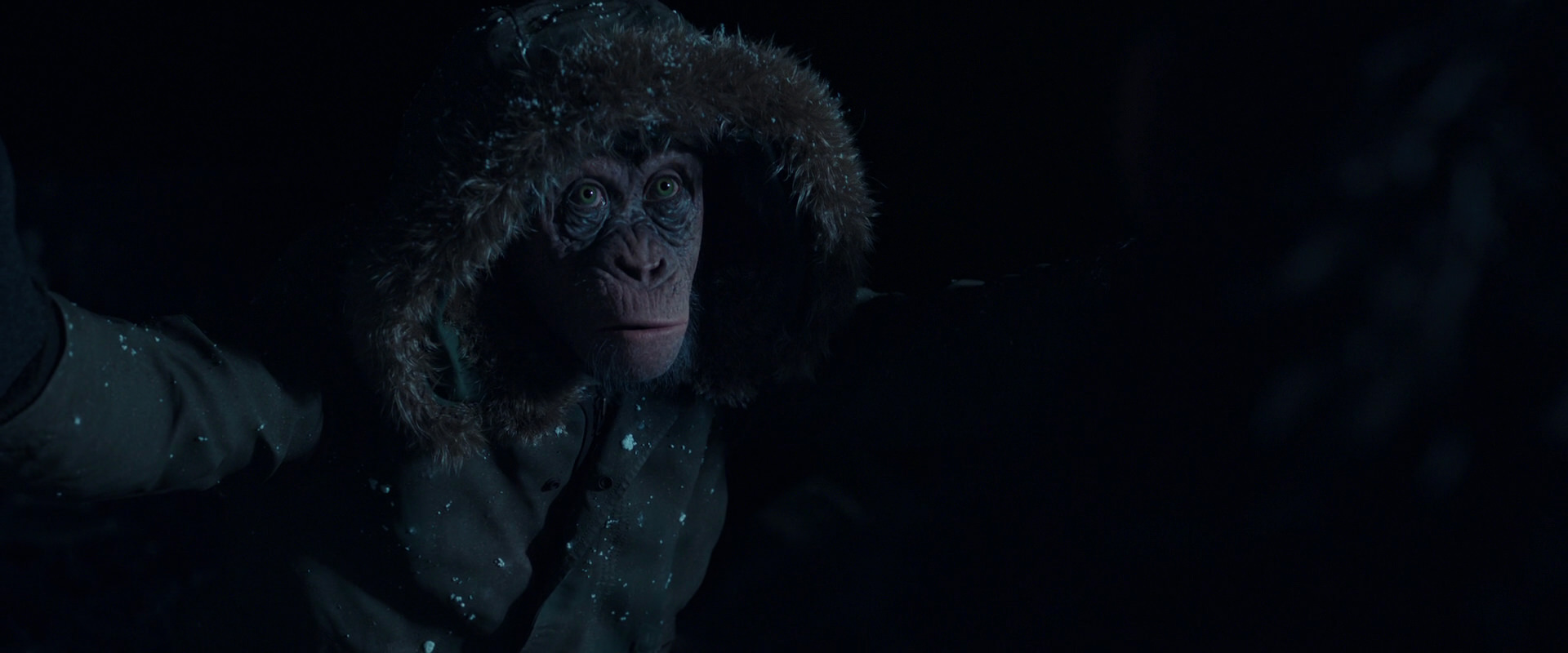 War for the Planet of the Apes (2017) movie still 5428