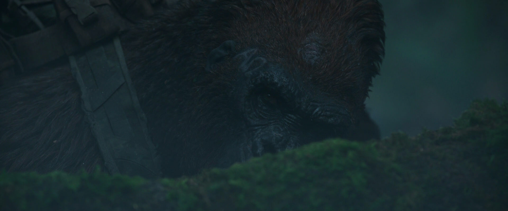 War for the Planet of the Apes (2017) screencap 543