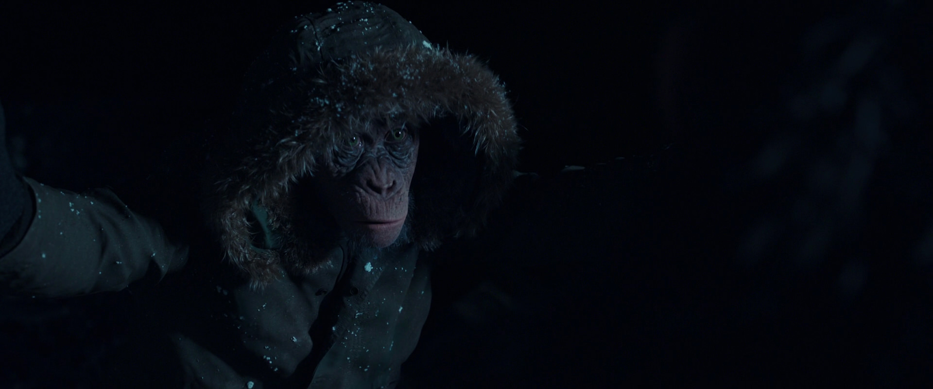 War for the Planet of the Apes (2017) screencap 5430