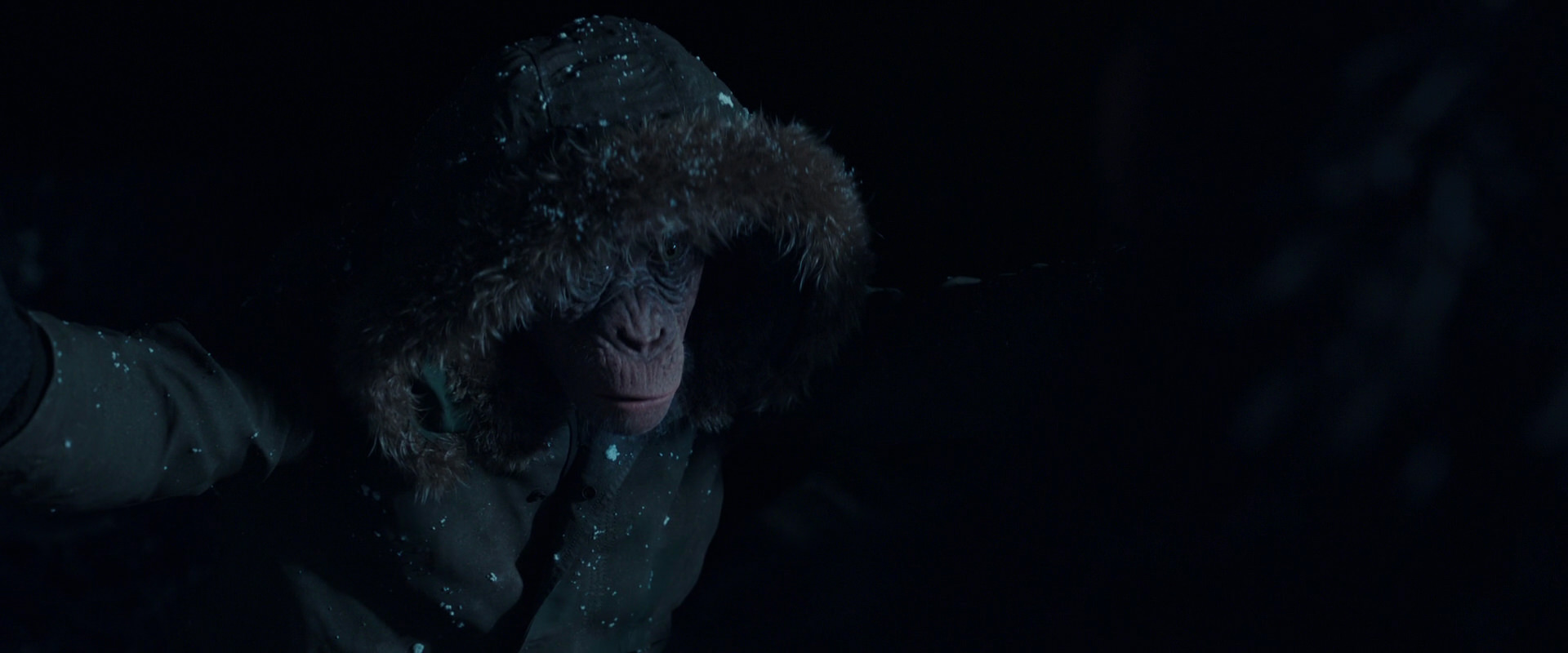 War for the Planet of the Apes (2017) movie still 5431