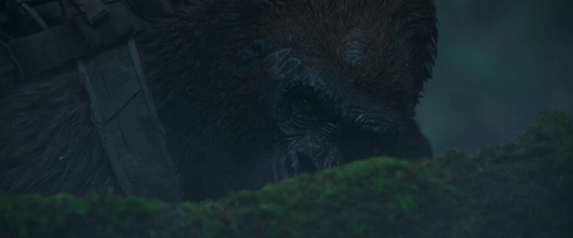 War for the Planet of the Apes (2017) movie still 544