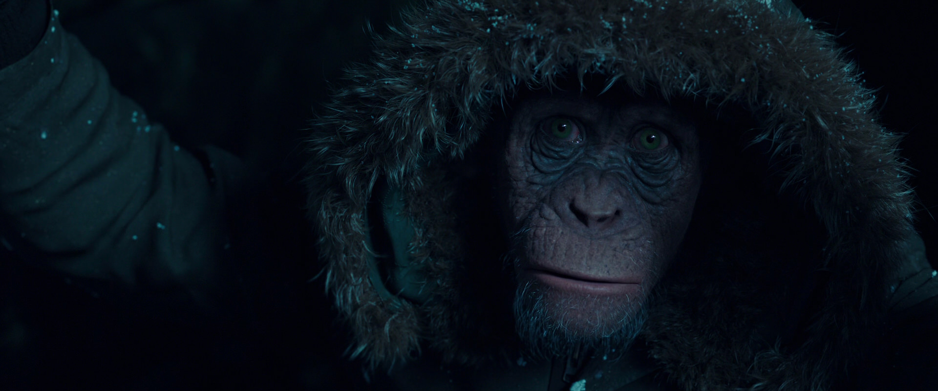 War for the Planet of the Apes (2017) screencap 5442