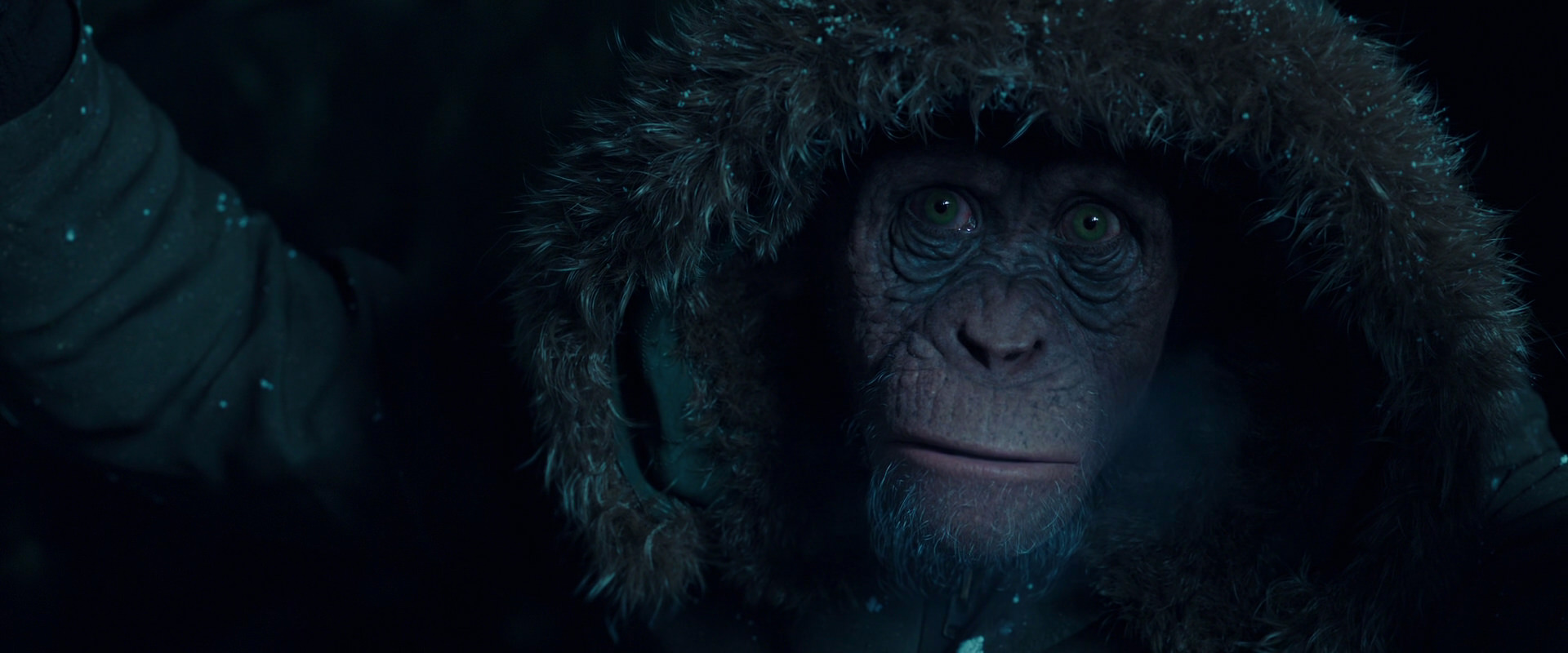 War for the Planet of the Apes (2017) movie still 5443