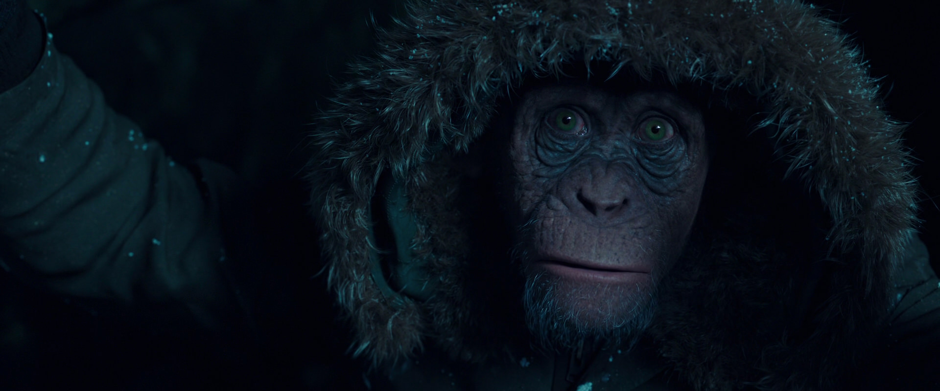 War for the Planet of the Apes (2017) HD screenshot 5444