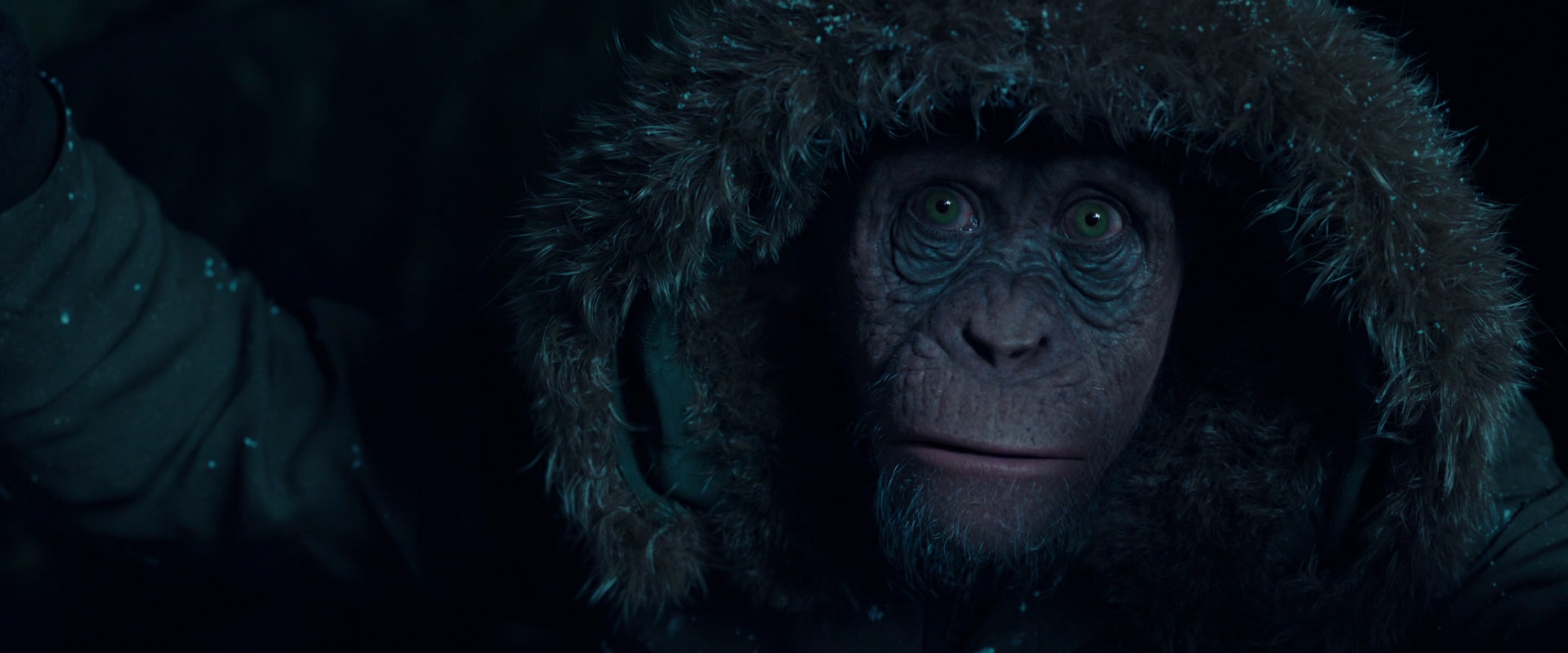 War for the Planet of the Apes (2017) screencap 5445