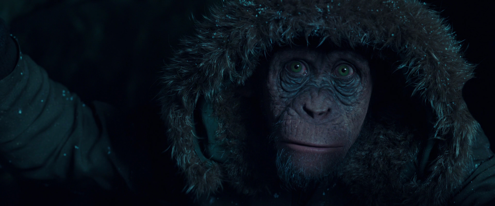 War for the Planet of the Apes (2017) movie still 5446