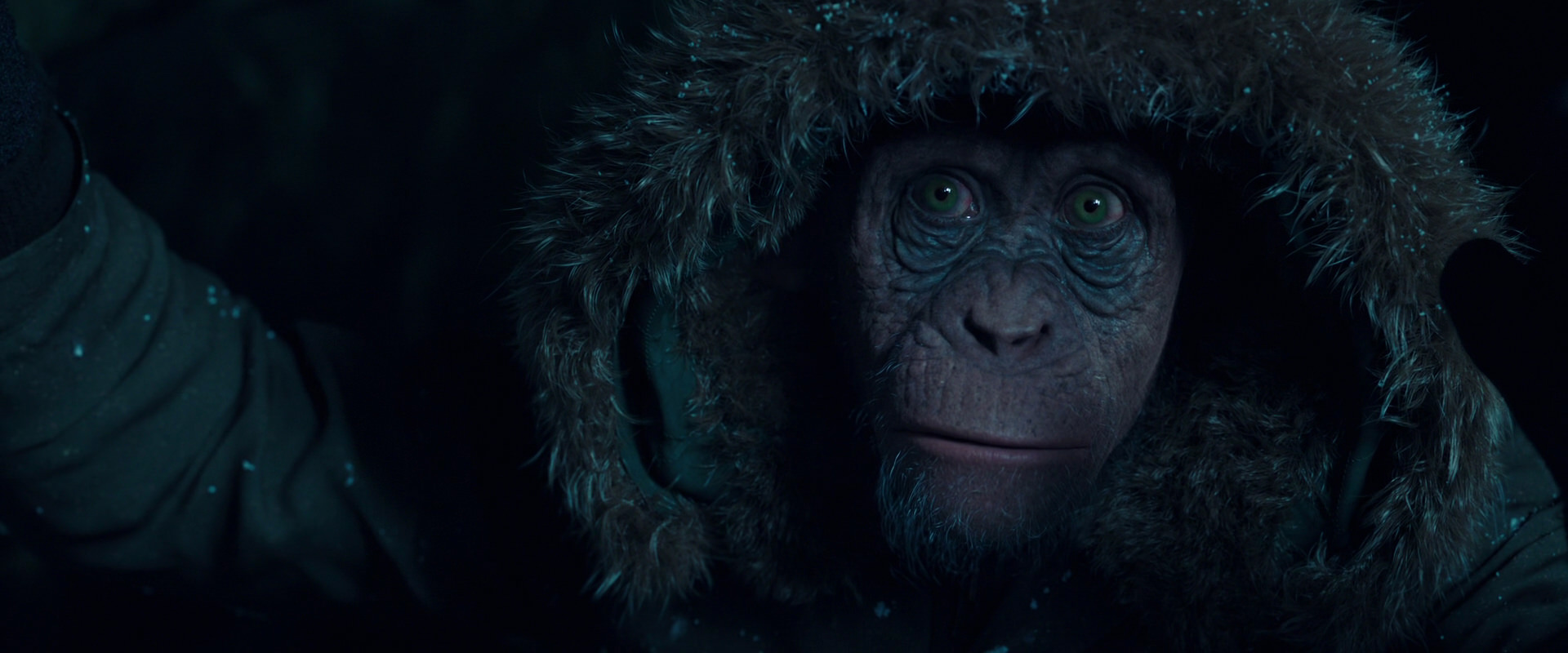 War for the Planet of the Apes (2017) HD screenshot 5447