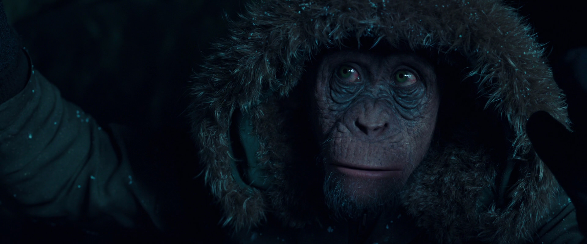War for the Planet of the Apes (2017) screencap 5448