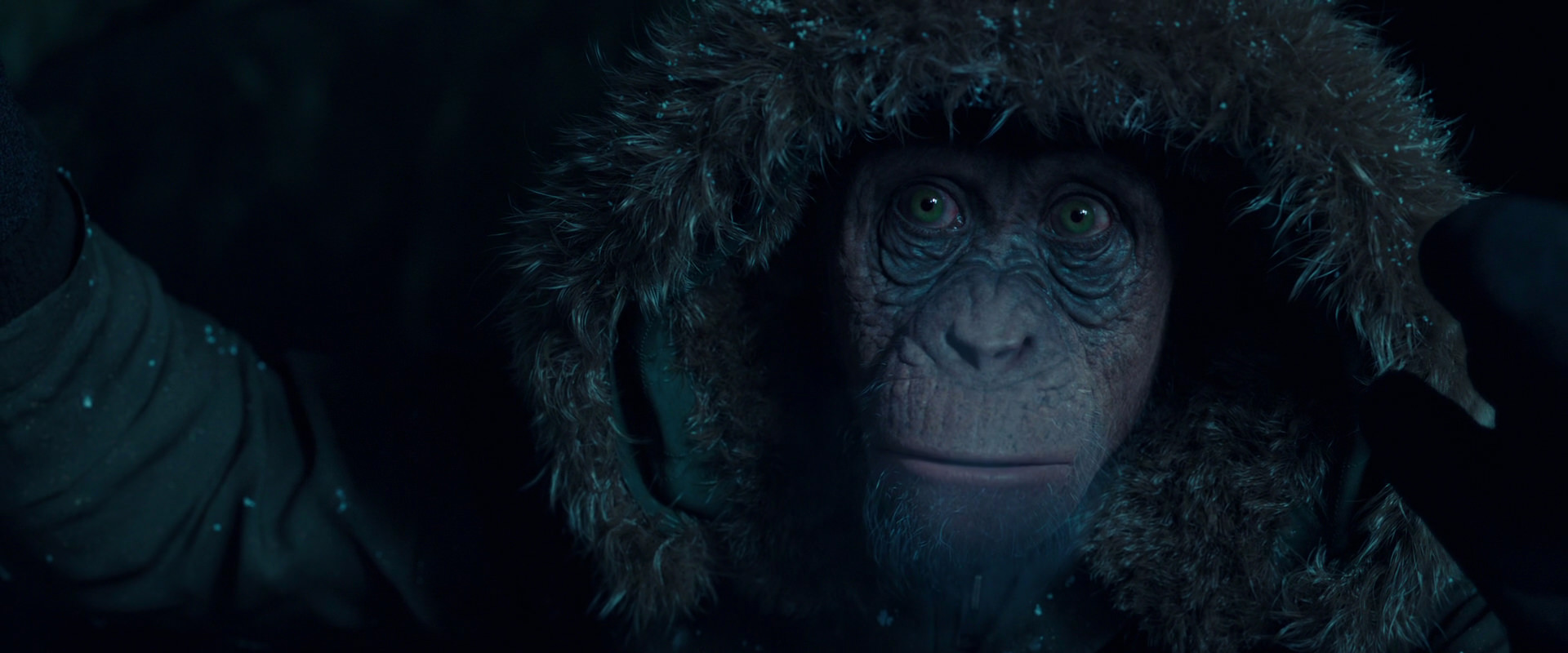 War for the Planet of the Apes (2017) movie still 5449