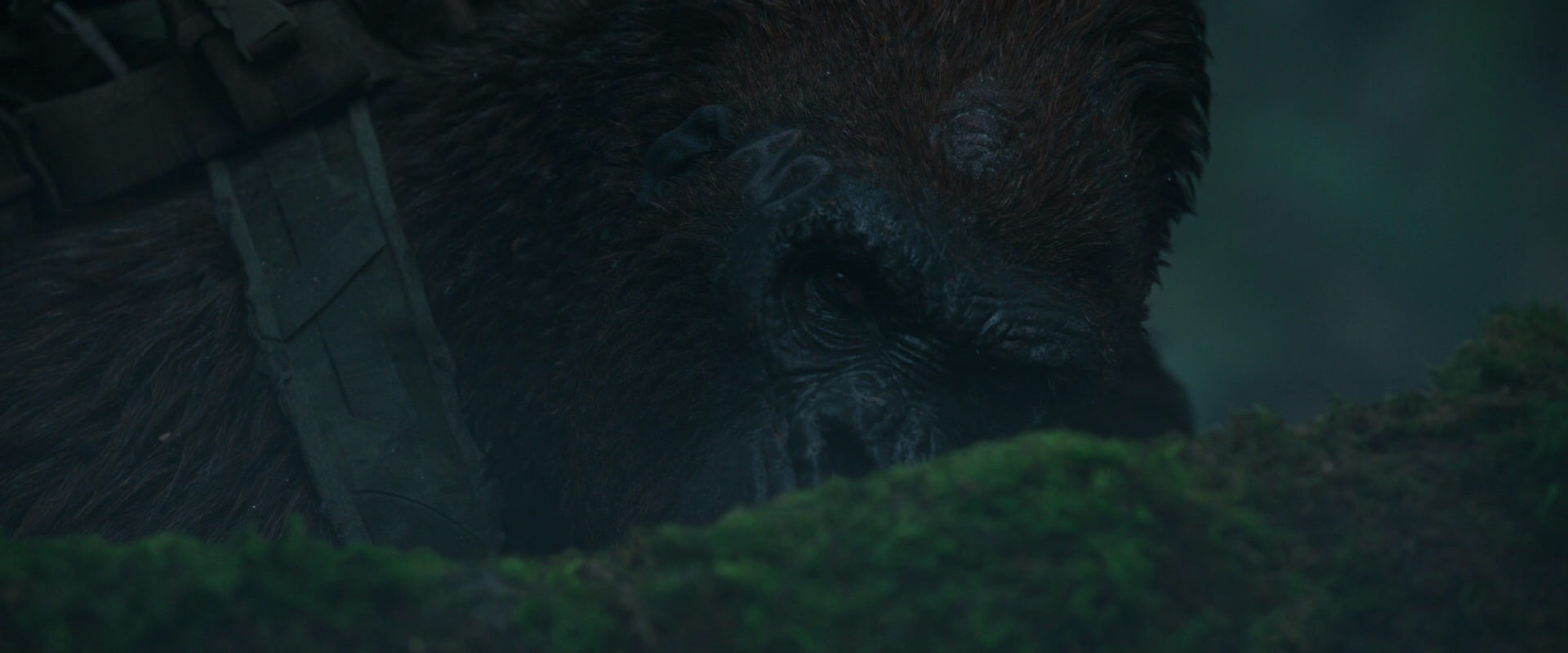 War for the Planet of the Apes (2017) HD screenshot 545