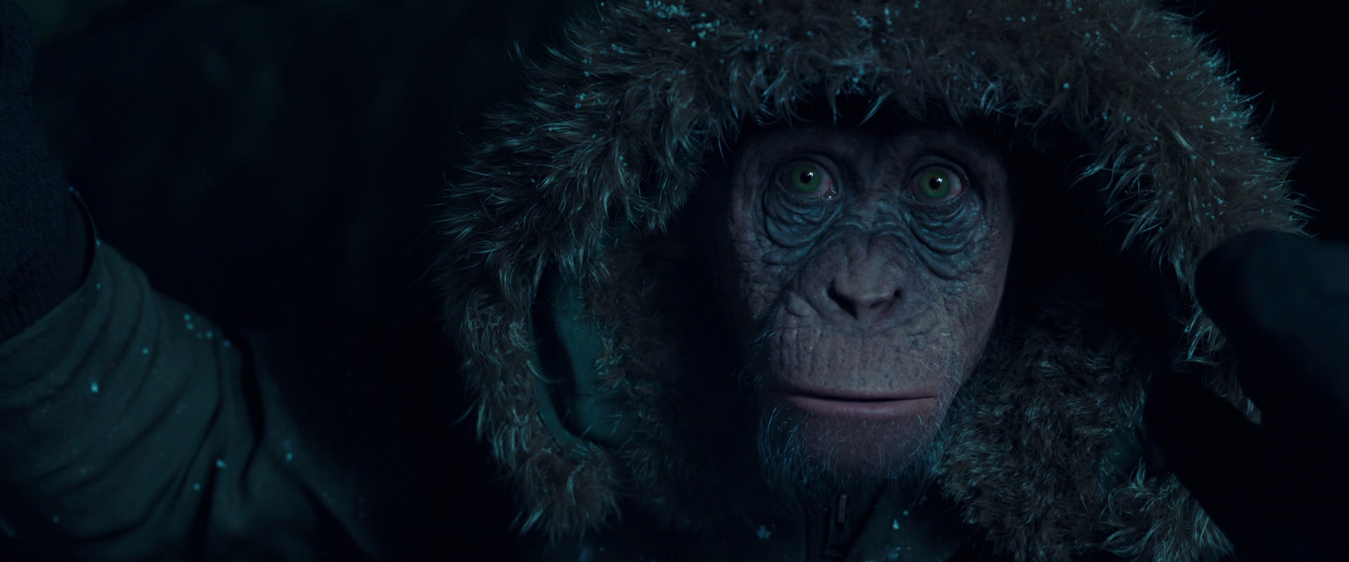 War for the Planet of the Apes (2017) HD screenshot 5450