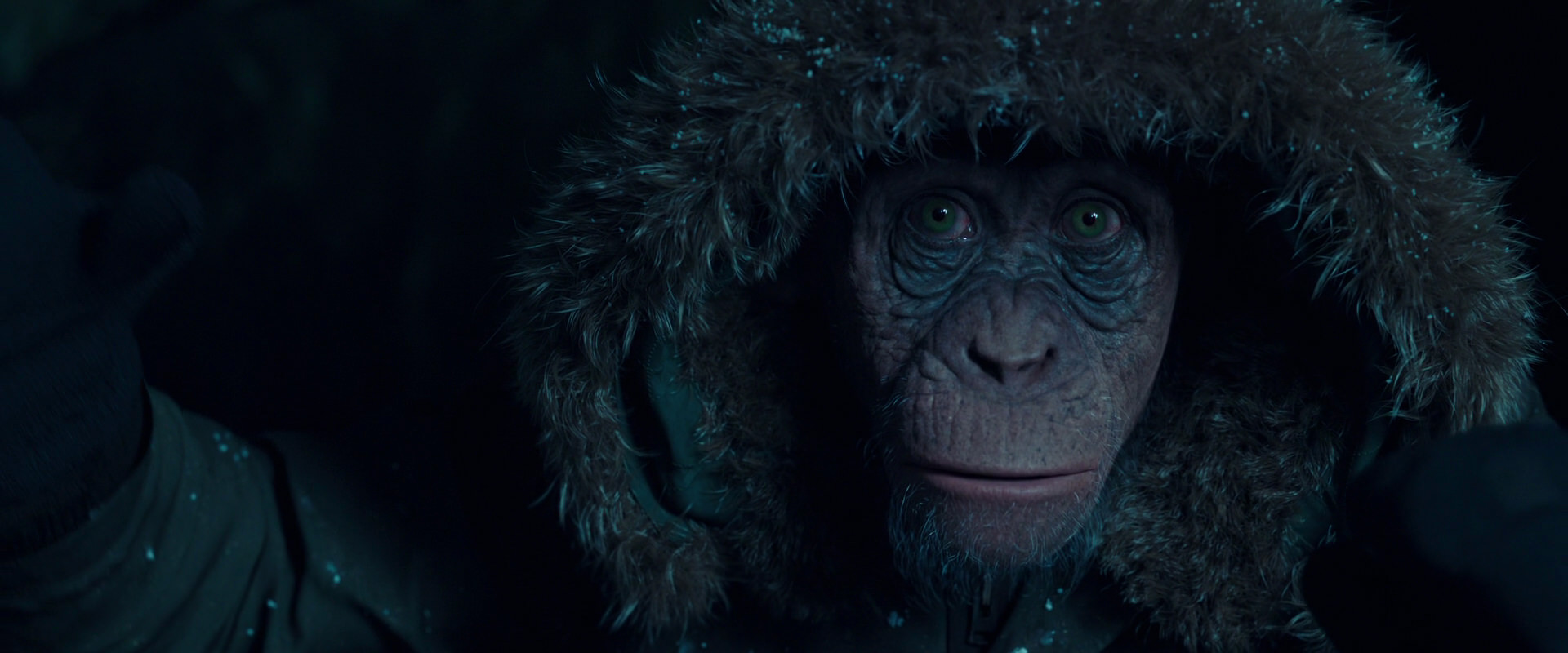War for the Planet of the Apes (2017) screencap 5451