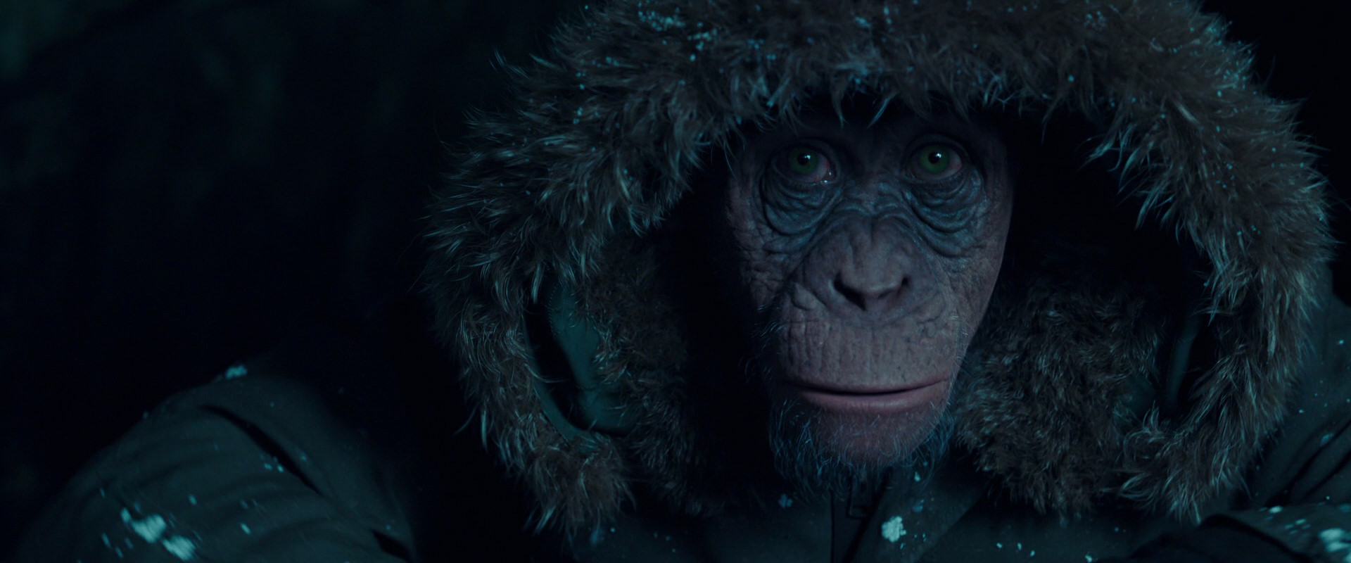 War for the Planet of the Apes (2017) movie still 5452