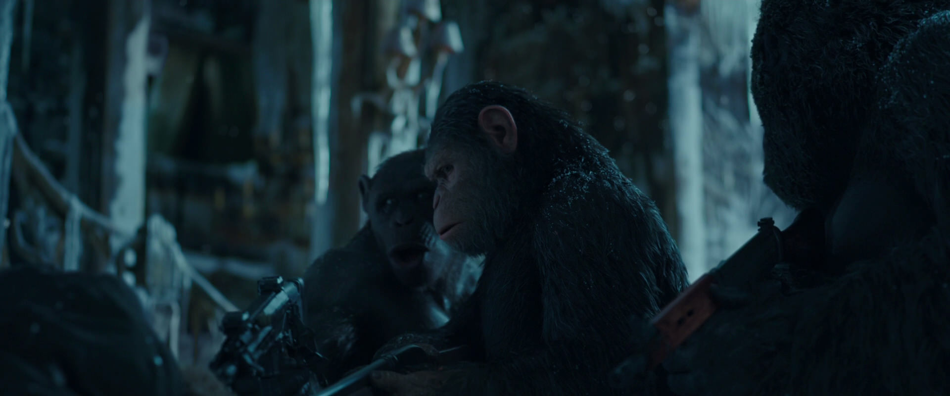 War for the Planet of the Apes (2017) screencap 5454