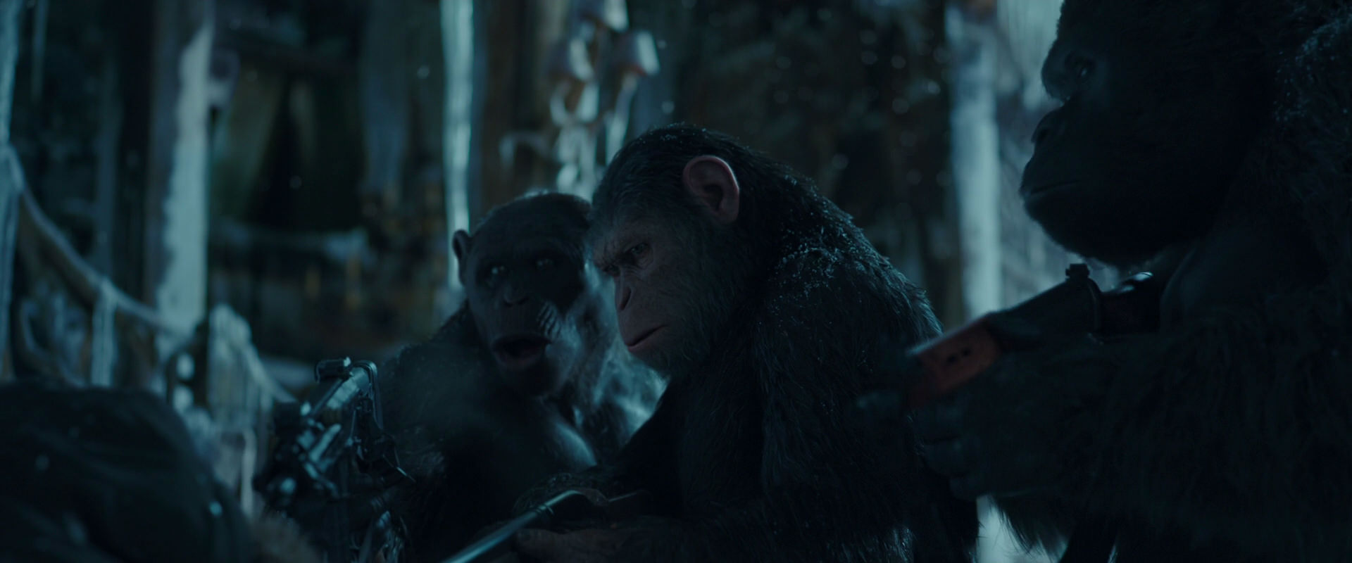 War for the Planet of the Apes (2017) movie still 5455