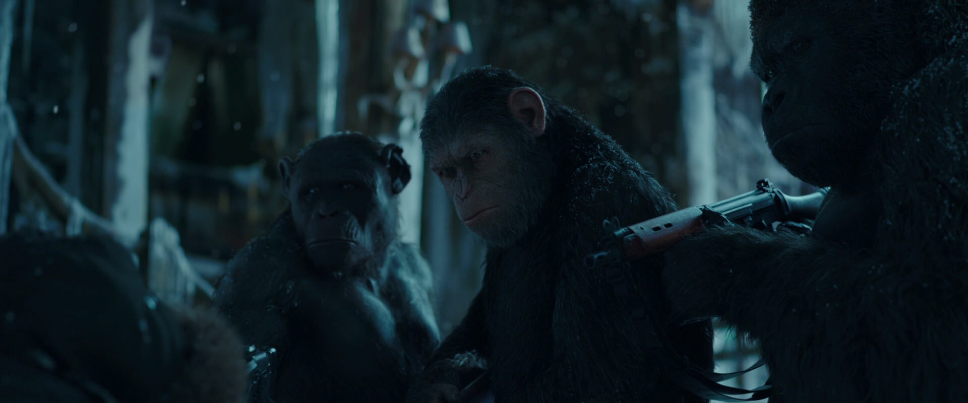 War for the Planet of the Apes (2017) HD screenshot 5471