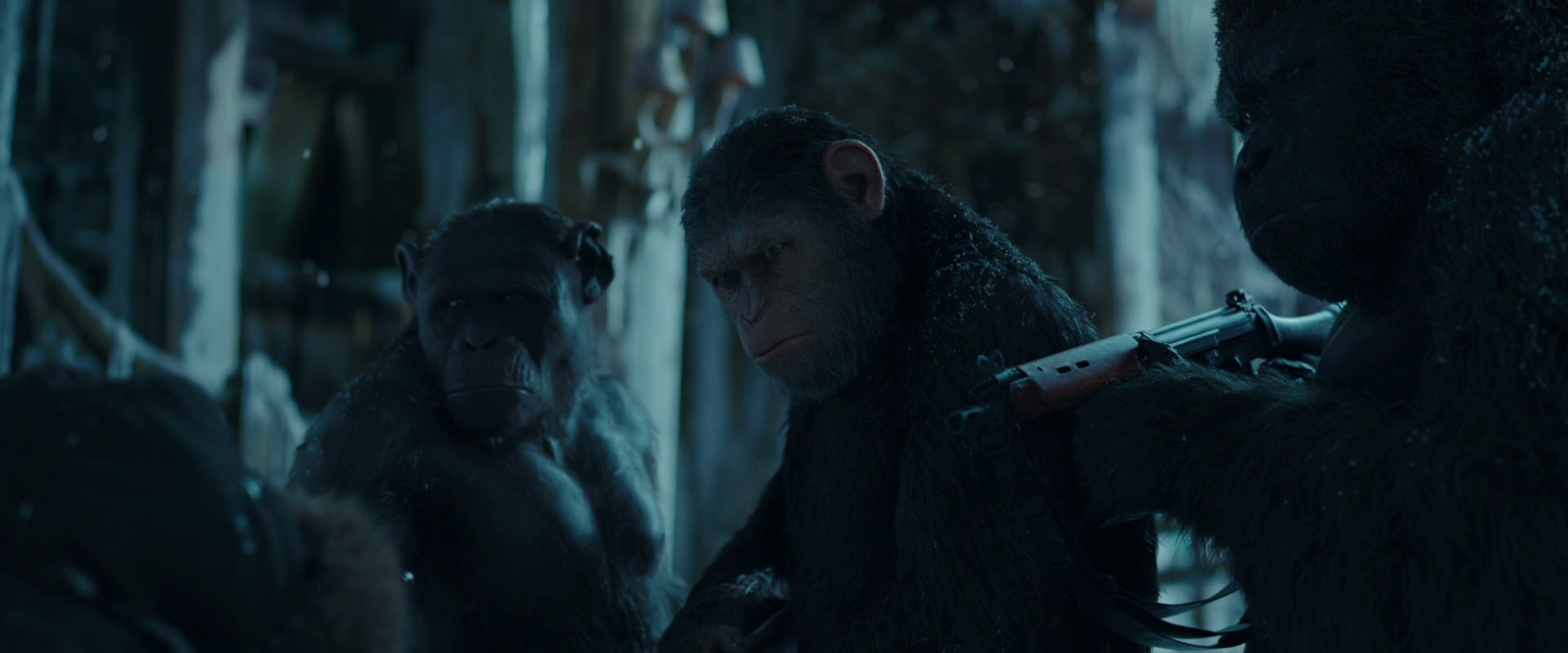 War for the Planet of the Apes (2017) screencap 5472